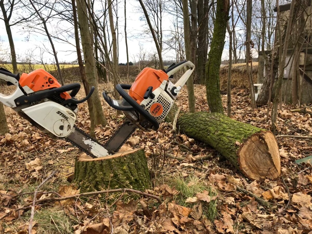 Nabídka prořezávky/kácení/rizikového kácení.