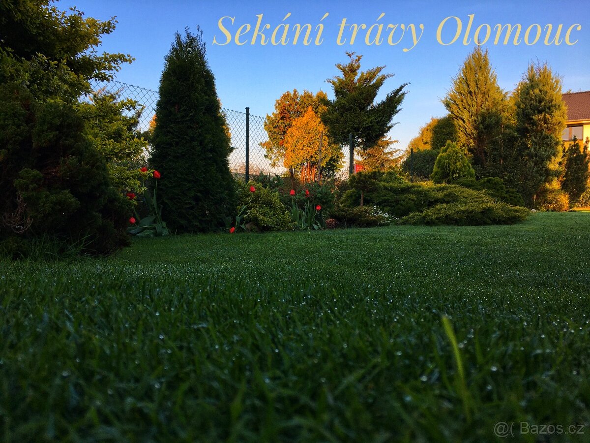 Sekání trávy Olomouc