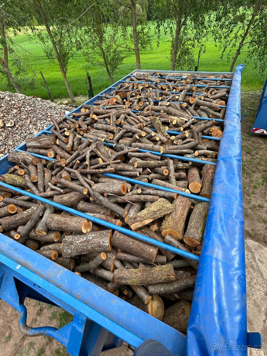 Palivové dřevo tvrdé