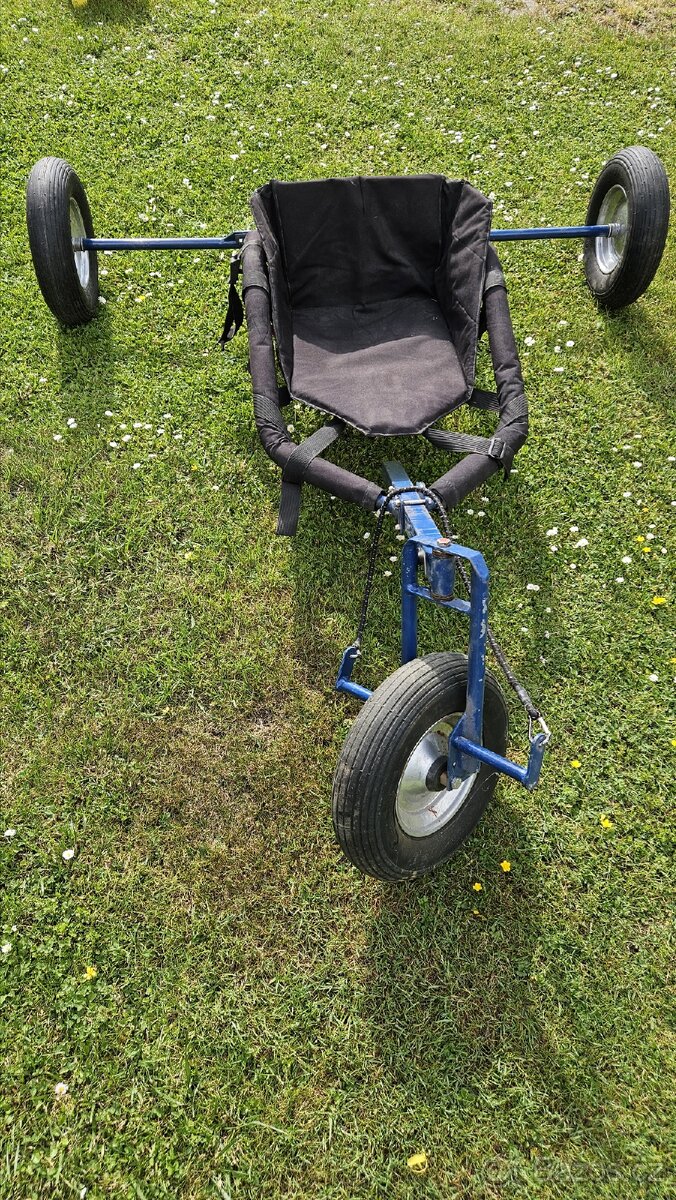 Kite buggy