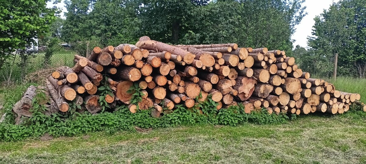 Palivové dřevo