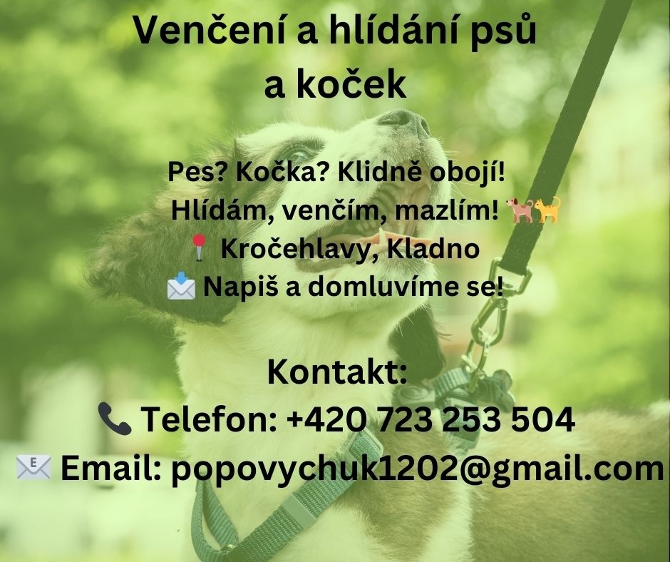 🐾 Venčení a hlídání psů a koček – Kročehlavy & Kladno 🐾