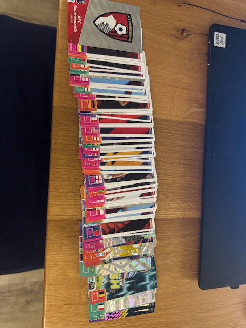 PANINI ADRENALYN XL 2025 Premier League