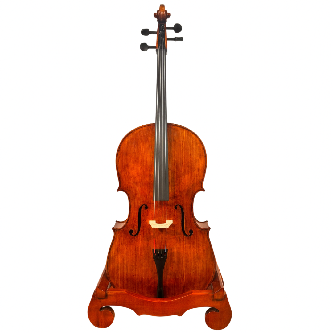 Mistrovské violoncello 4/4 model Montagnana