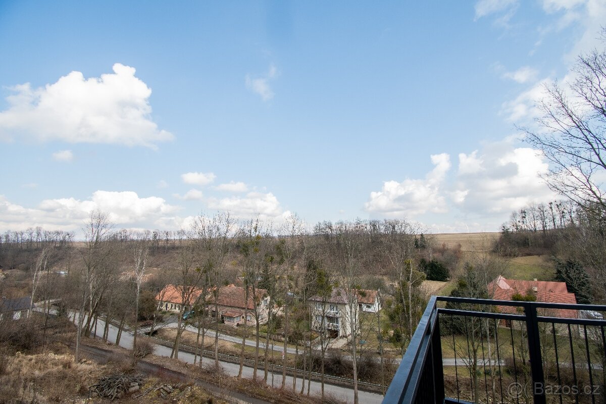 Byt v rodinném domě 3+kk (novostavba)