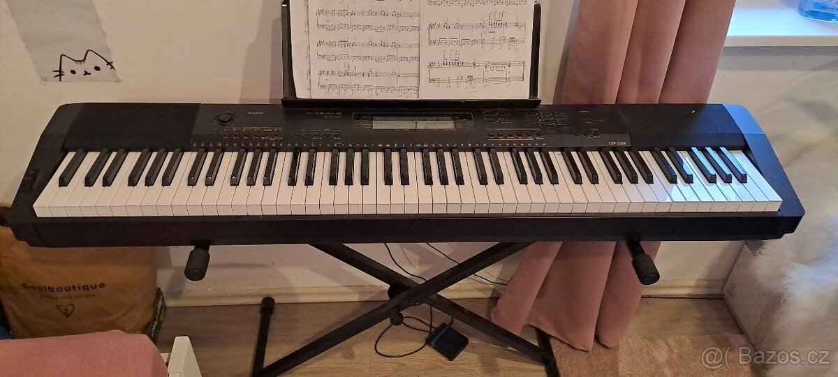 Casio CDP-230 RBK