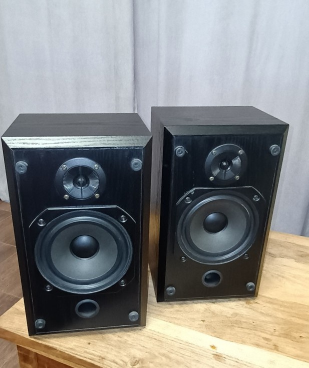 Repro BaW DS1