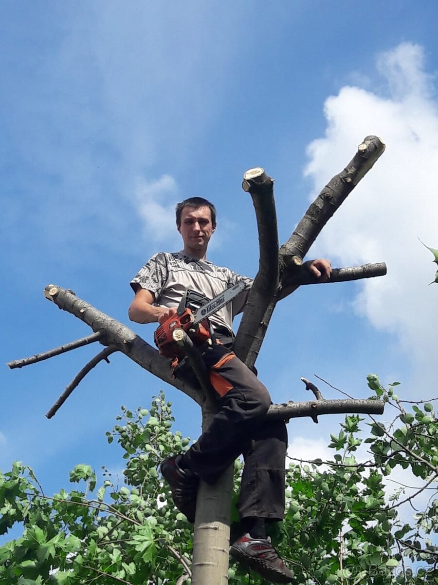Sekání trávy zástřih živých plotů frézování pařezů