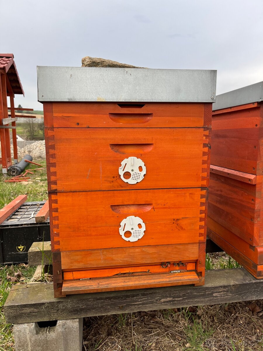 Prodám včelstvo RM 42x17