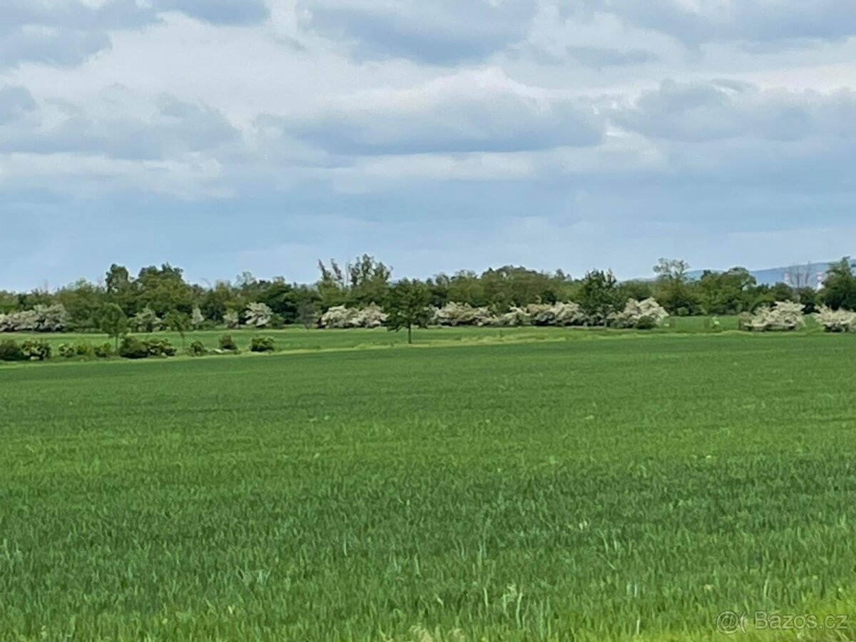 Prodej orné půdy 11 752 m², Brno–Tuřany