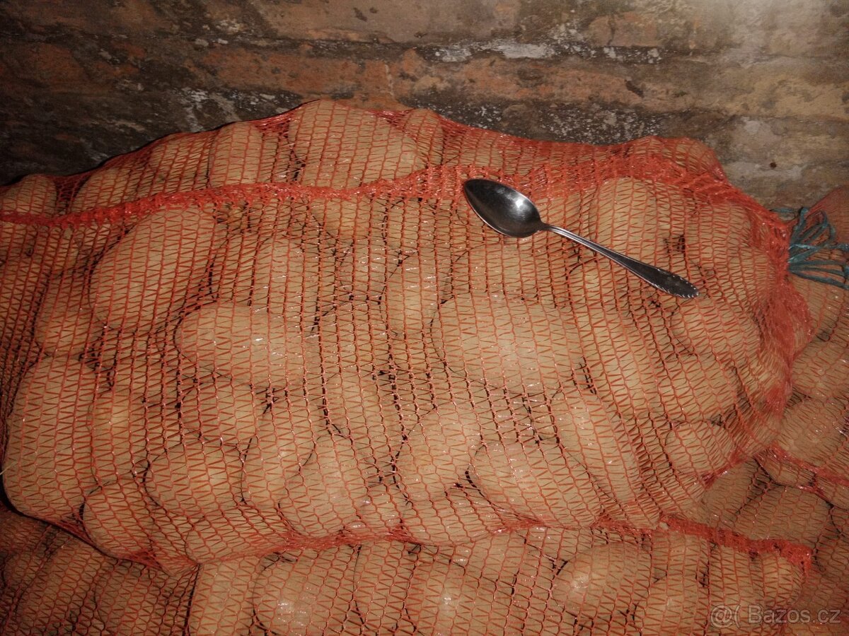 Brambory krásné velké - Ničím nestříkáné, ruční sběr, domácí