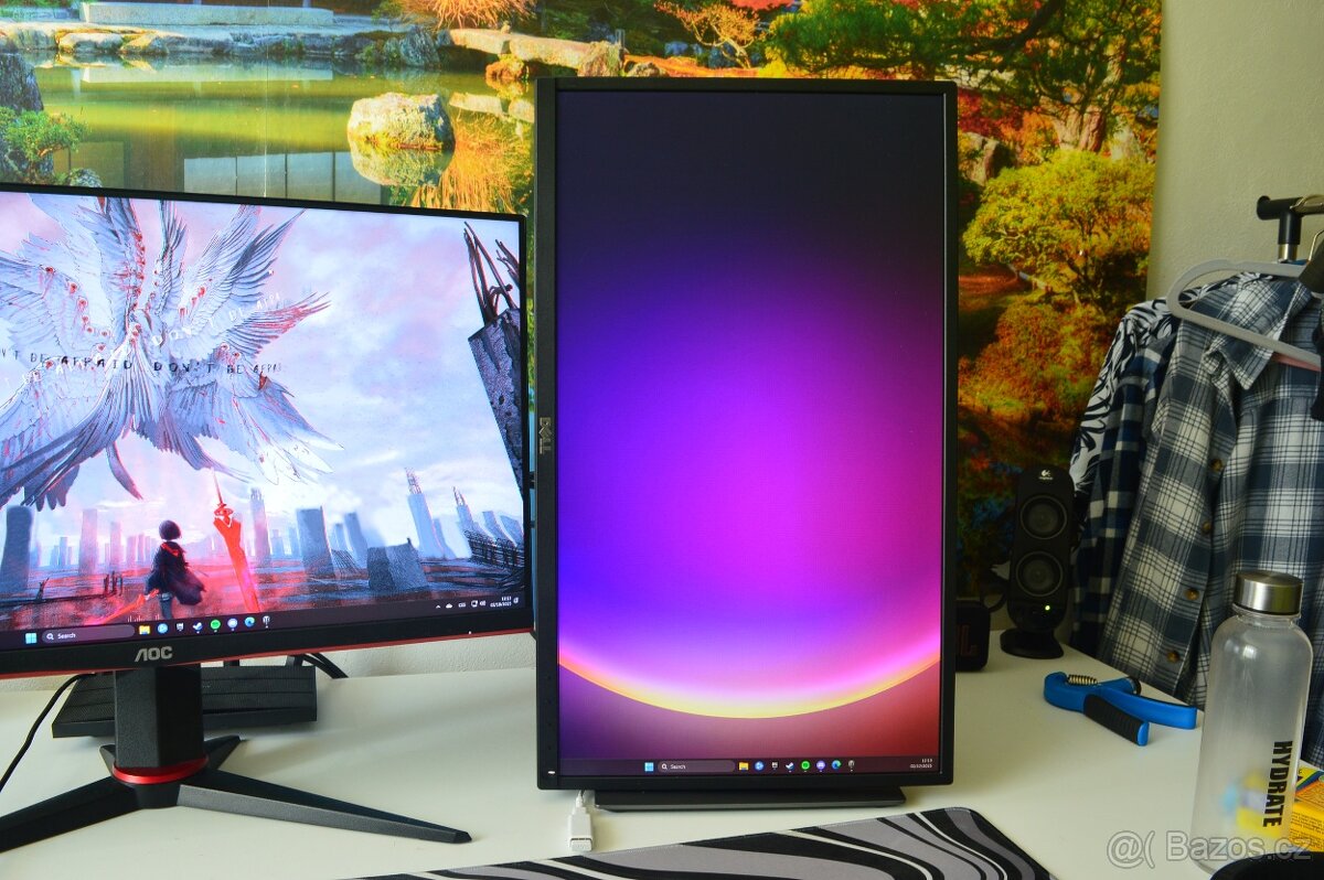 Dell 24 1080P