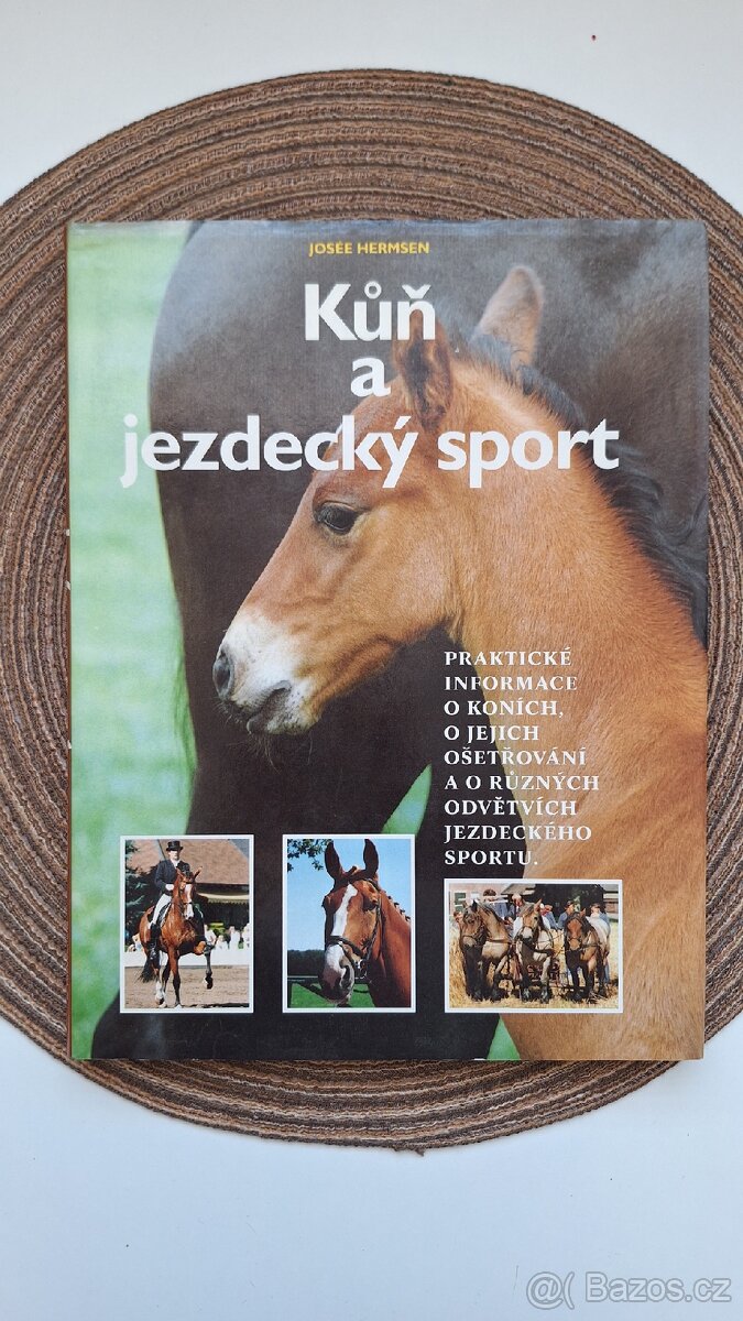 Kůň a jezdecký sport