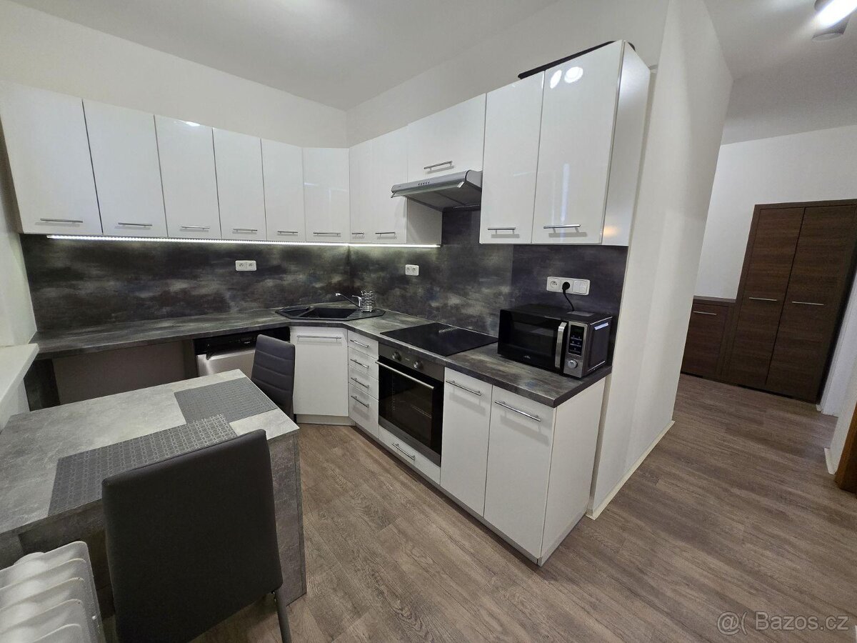 Pronájem bytu 2+1, Marie Pujmanové 3990, Chomutov