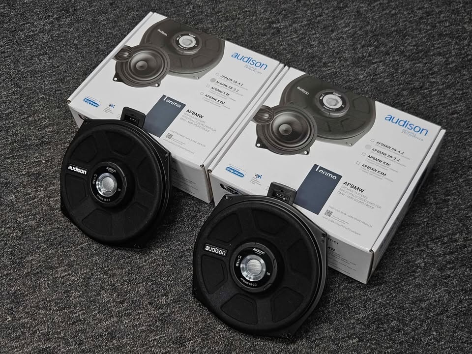 2x subwoofer Audison APBMW S8-2.2