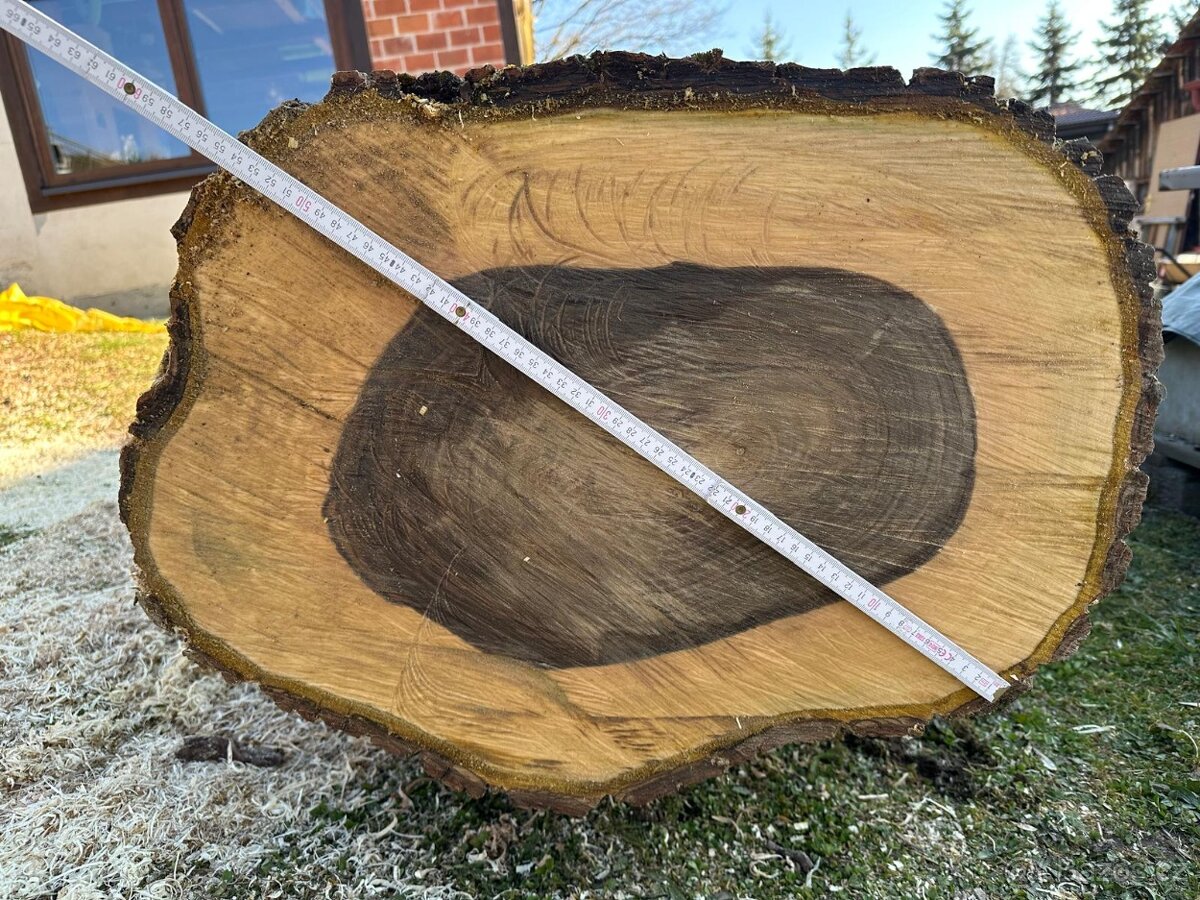 Prodám kmen ořechu