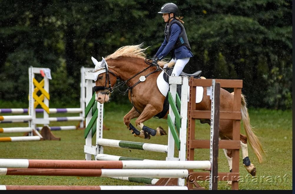 Pony Welsh - učitel Belin, 11let