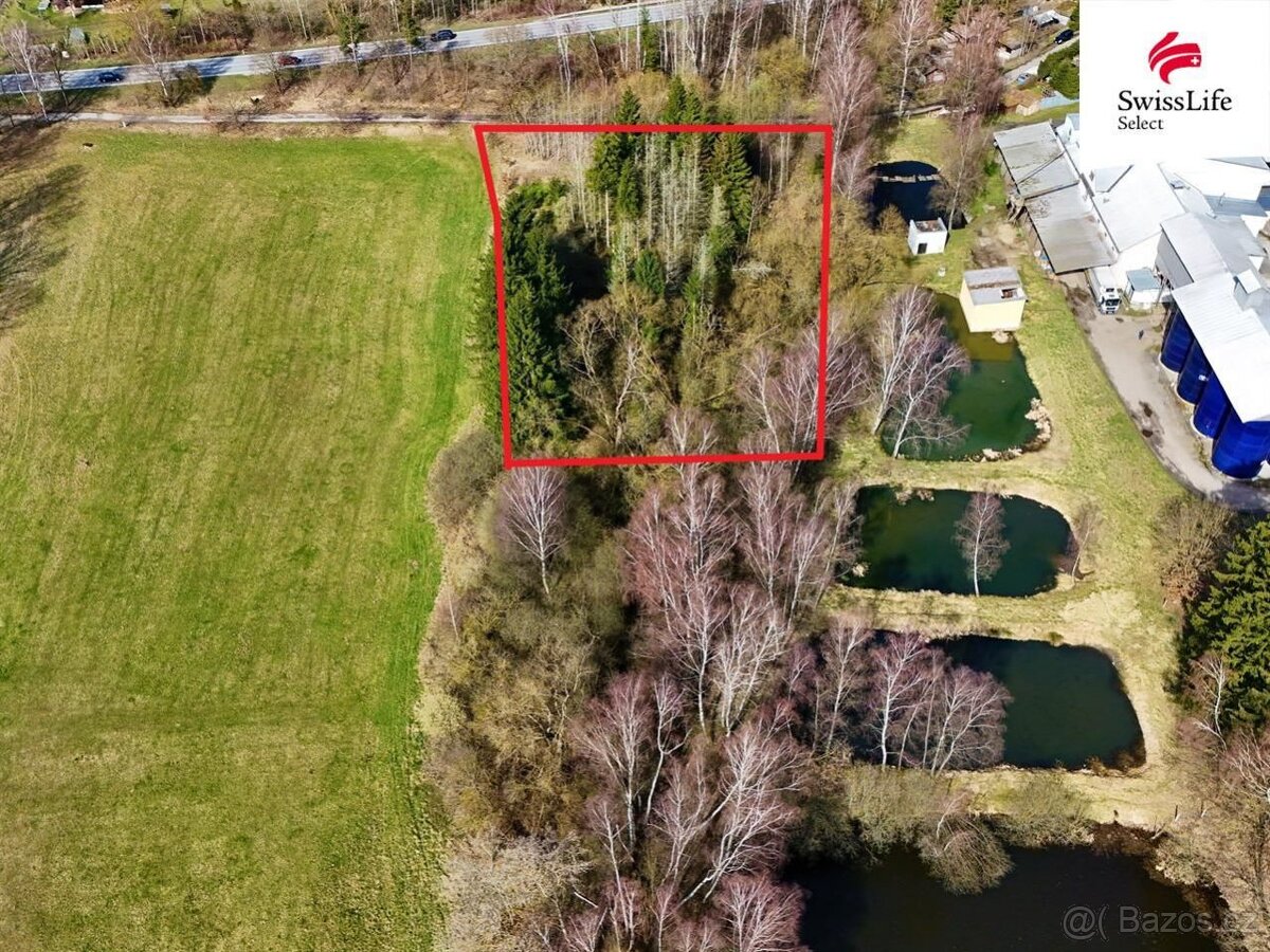Prodej lesa 4442 m2, Rodvínov