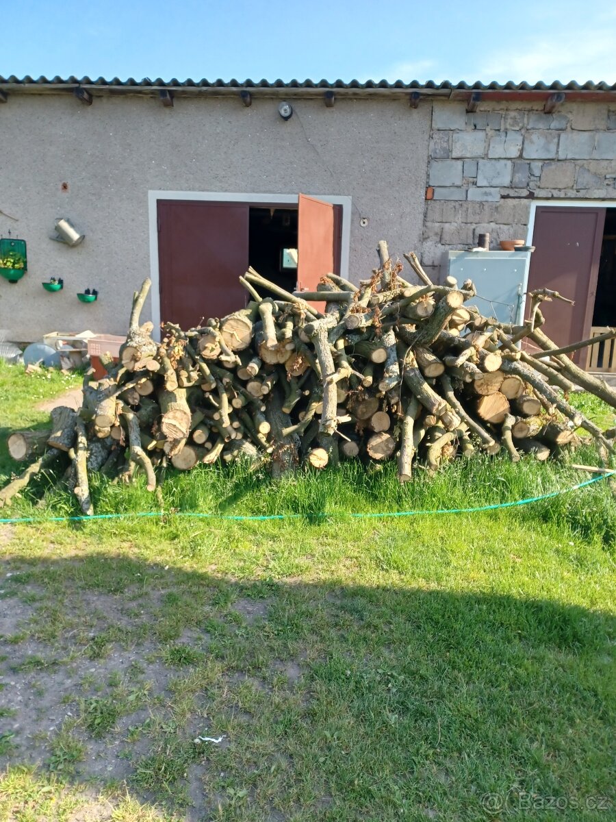 Palivové dřevo