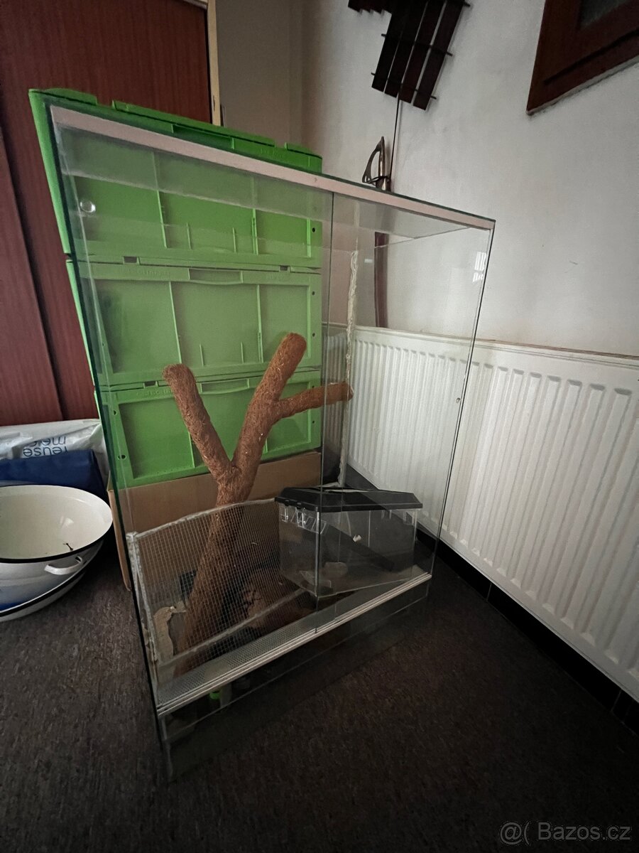 Terárium pro chameleona