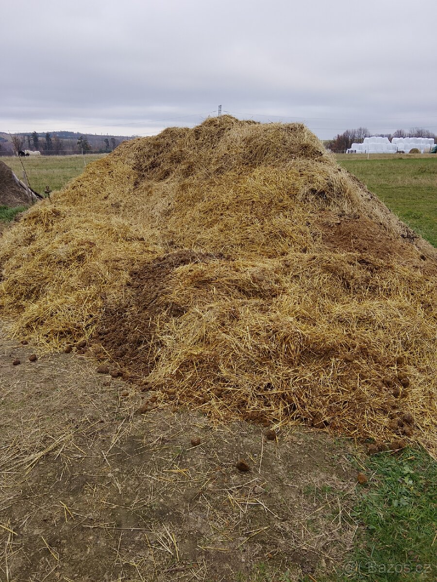Koňský hnůj - zdarma