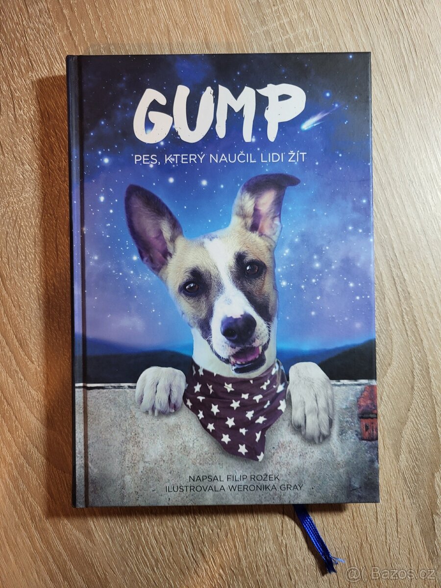 Gump- Pes, který naučil lidi žít