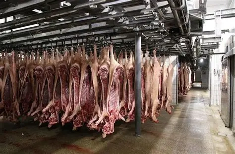 od ihned pomocné práce muži ženy v Rakousku