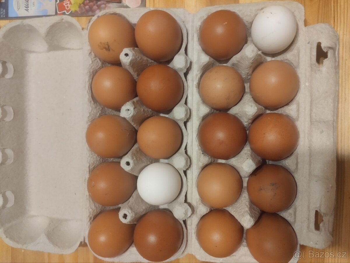 Domácí vajíčka