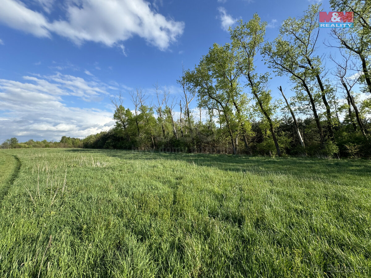 Prodej komerčního pozemku, 10254 m², Homole