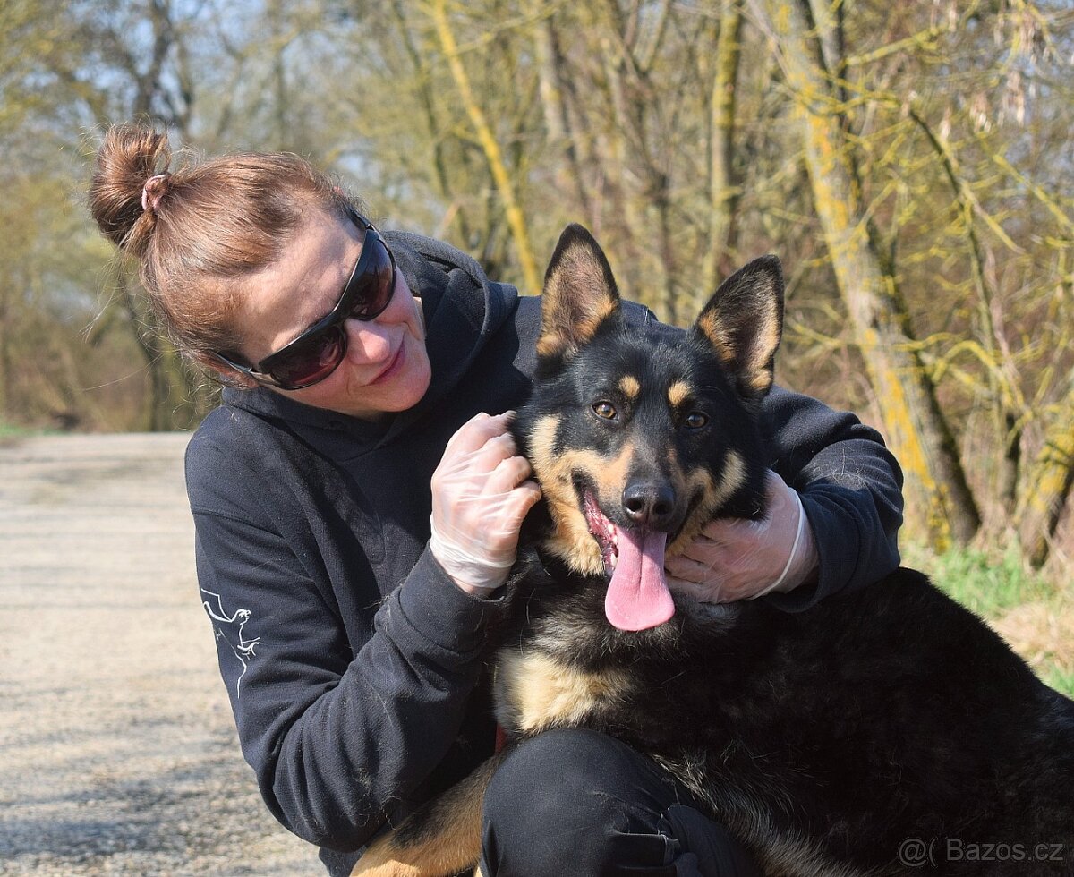 Janot hledá domov