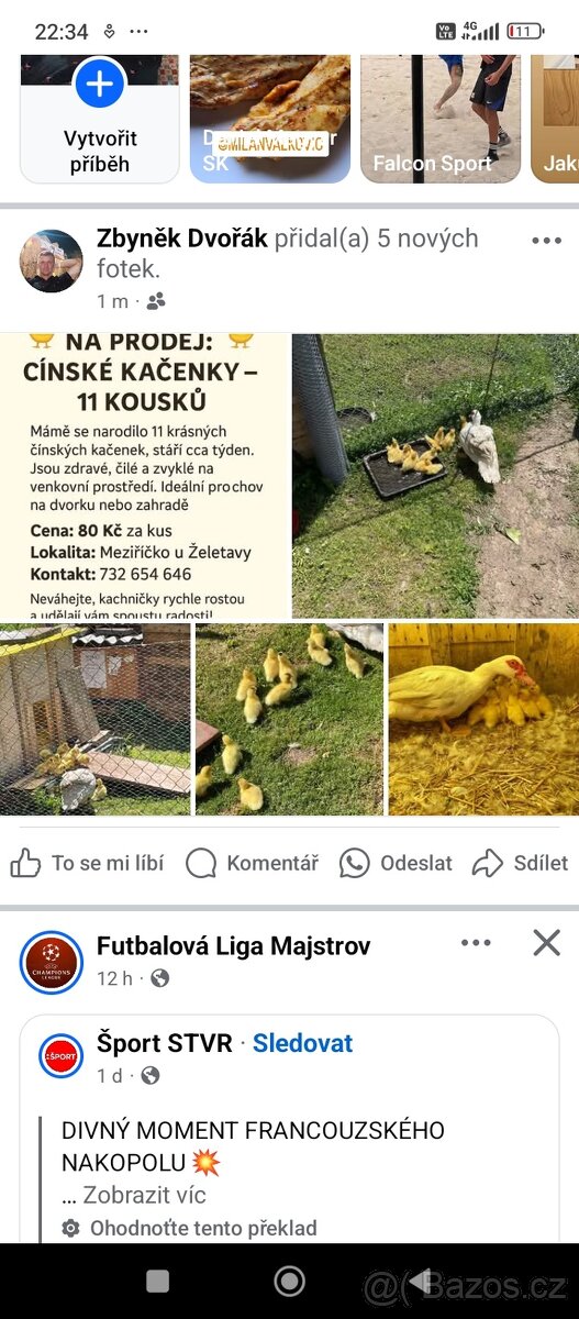 Čínské kačenky