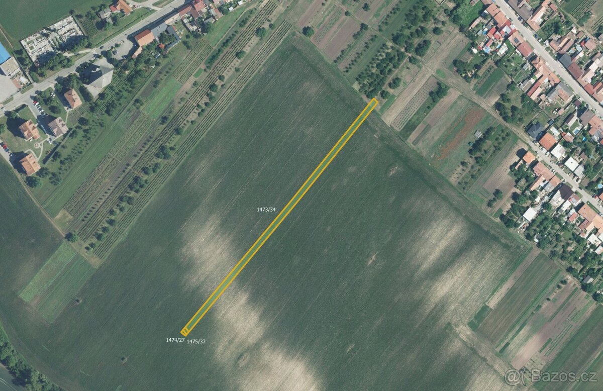 Zemědělská půda, prodej, Starý Poddvorov, Hodonín