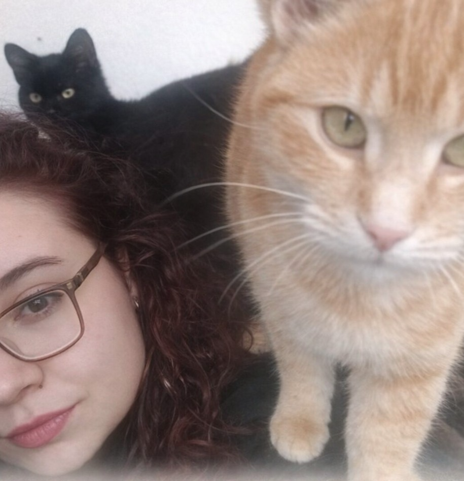 Pomoc pro nechtěné kočičky