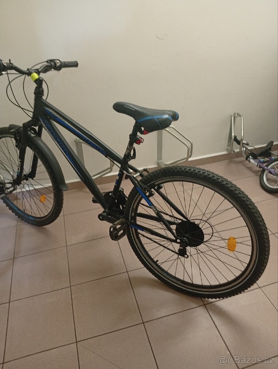 Chlapecké kolo