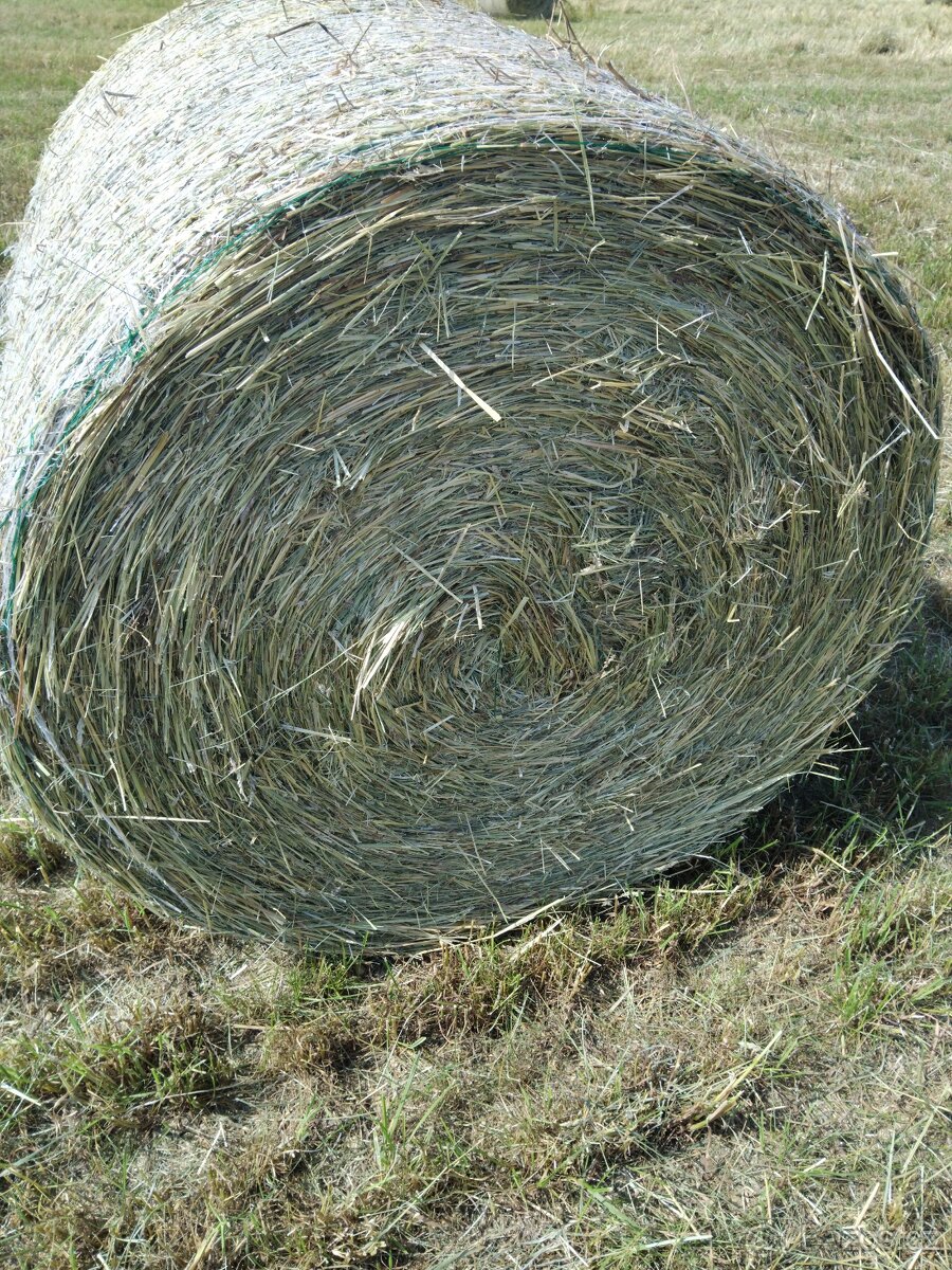 Seno balíky