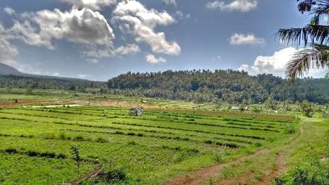Prodej stav. pozemku na ostrově Bali - Indonésie