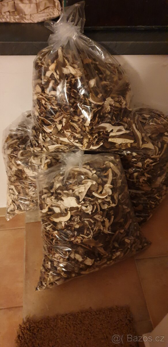 sušené houby