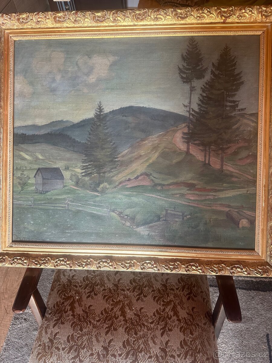 Obraz krajina
