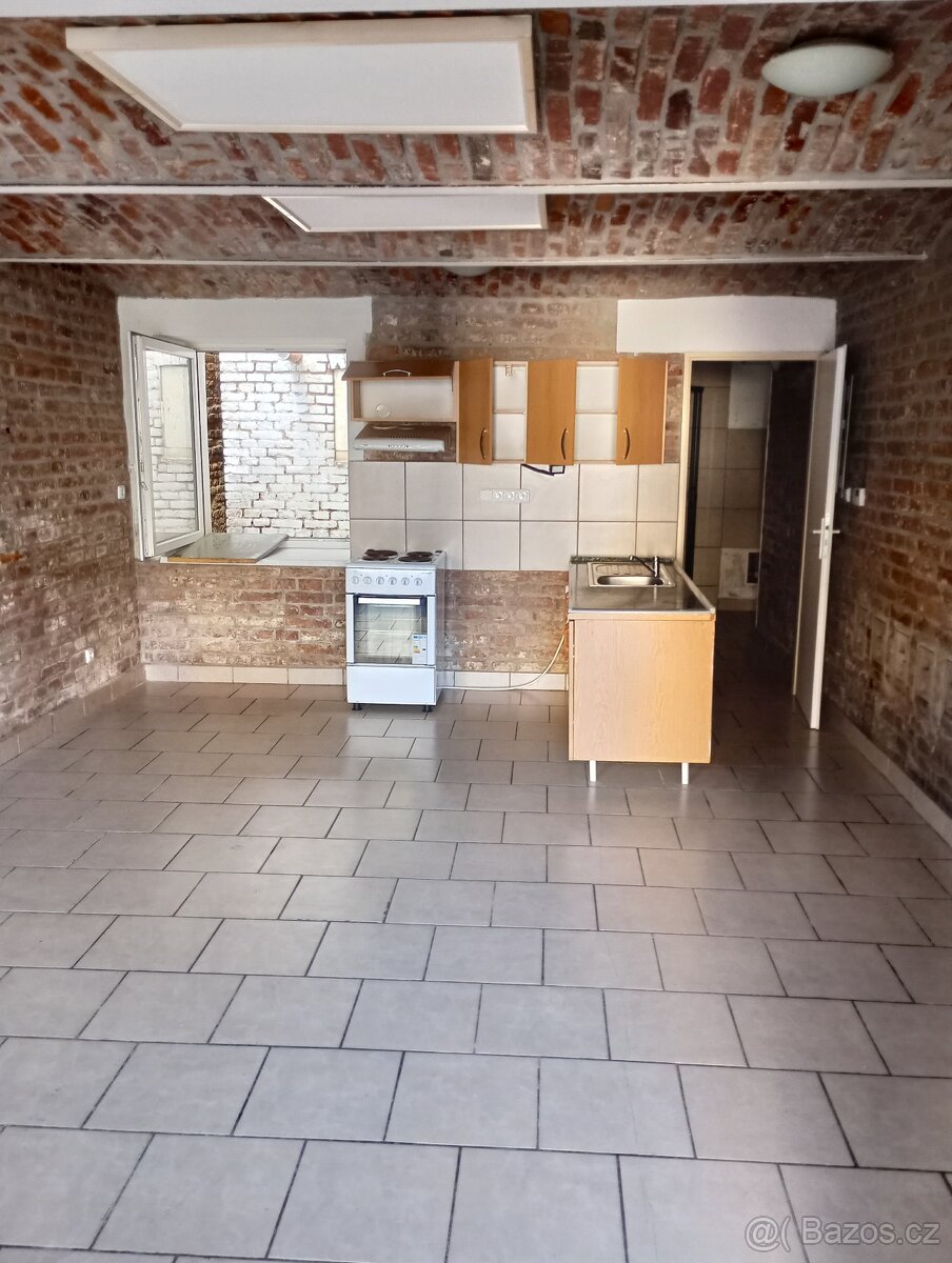 Pronájem bytu 1+kk - přízemí