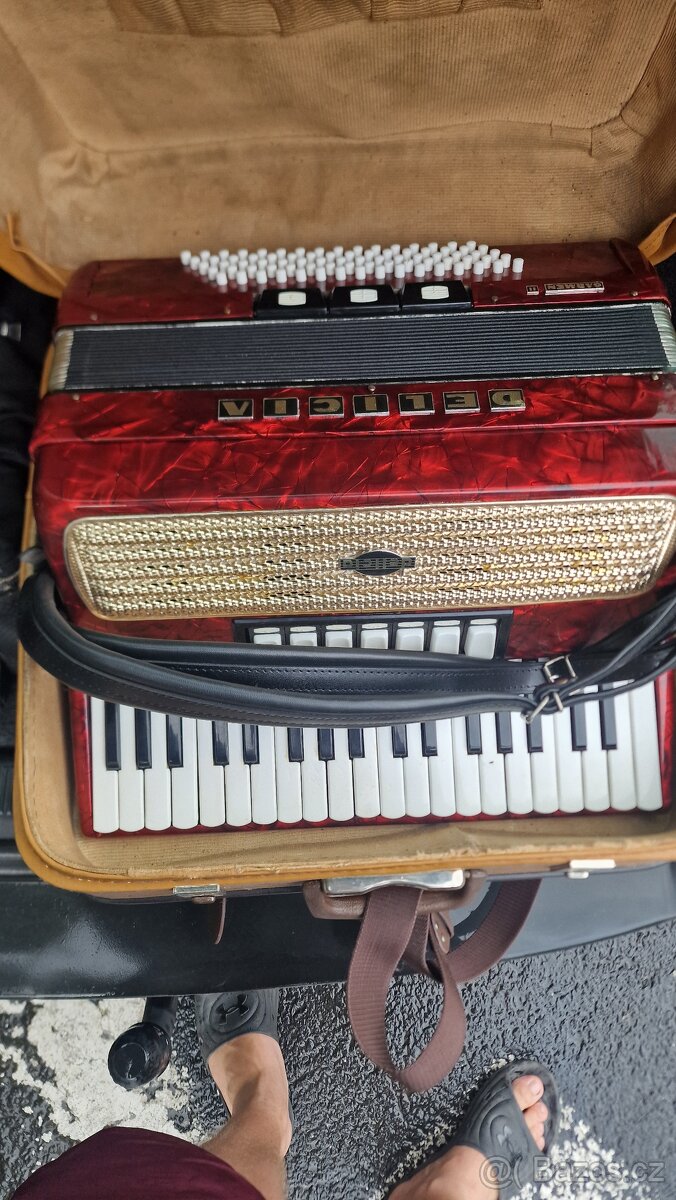 Harmonika Delicia Carmen II
