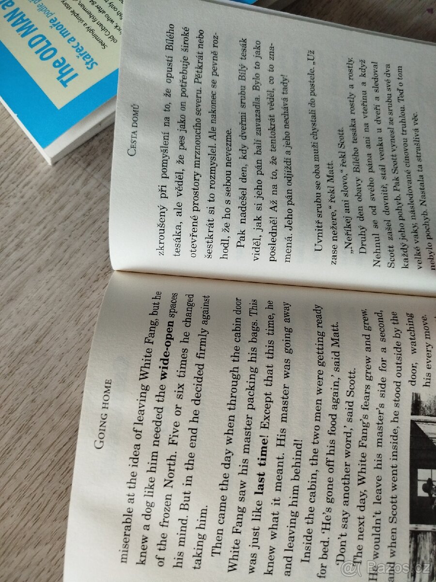 Česko anglické knihy Bílý tesák, Stařec a moře