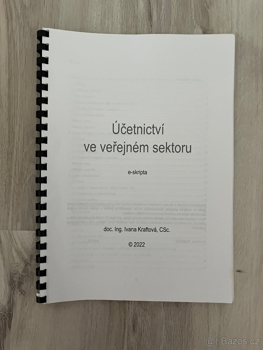 Účetnictví ve veřejném sektoru