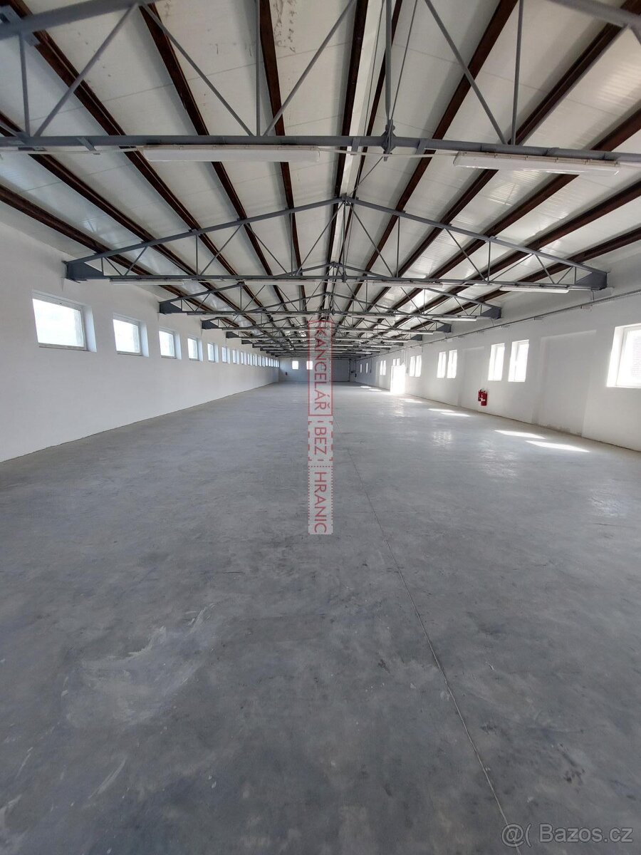 Pronájem haly,756 m2,Medlovice