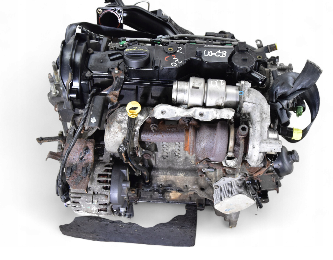 Motor FORD TRANSIT 1.5 TDCI 75KM UGCB 14-23r