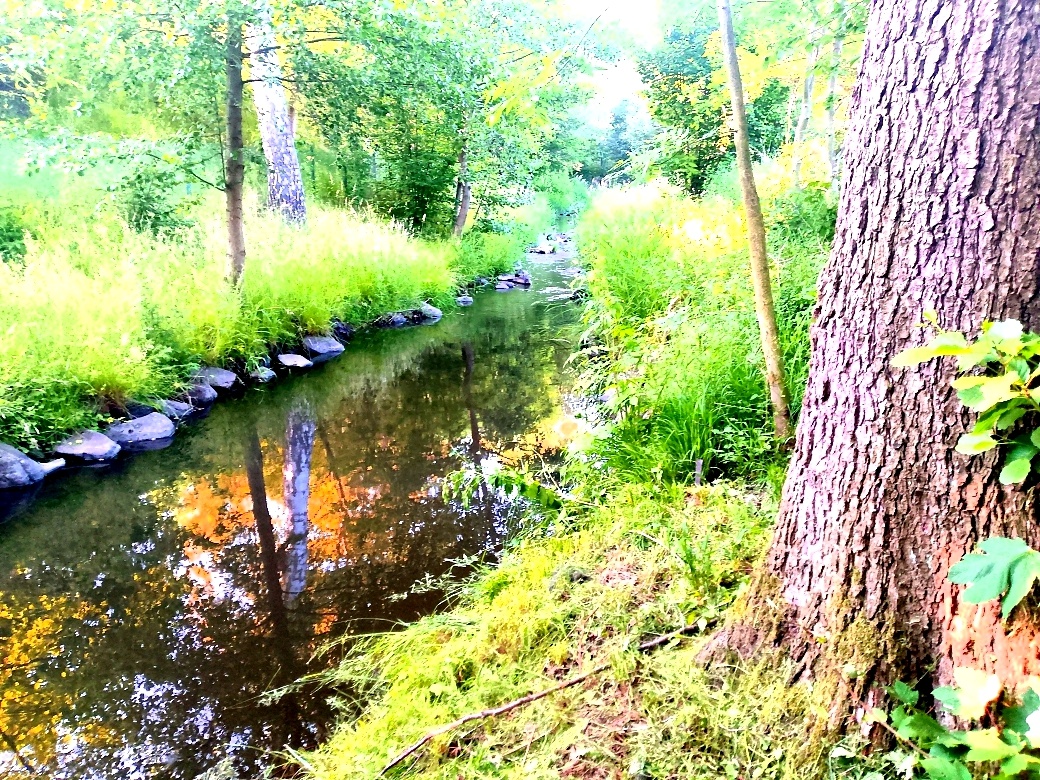 Pozemek stavební ok Děčín