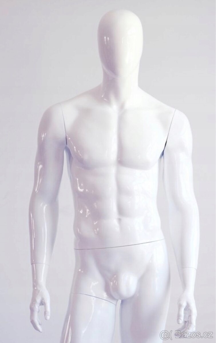 Oděvní figuríny, pánské dámské