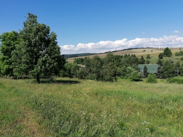 Pozemek pro rekreaci, ranč, podnikání - SeverníČechy