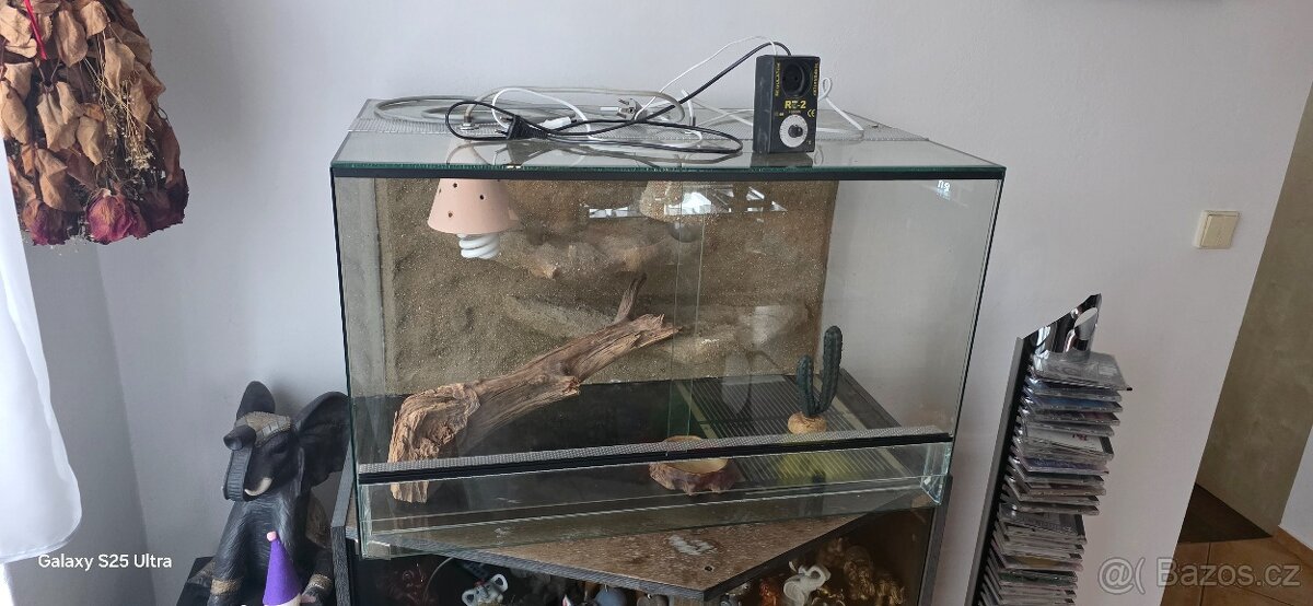 Terárium 80x50x50