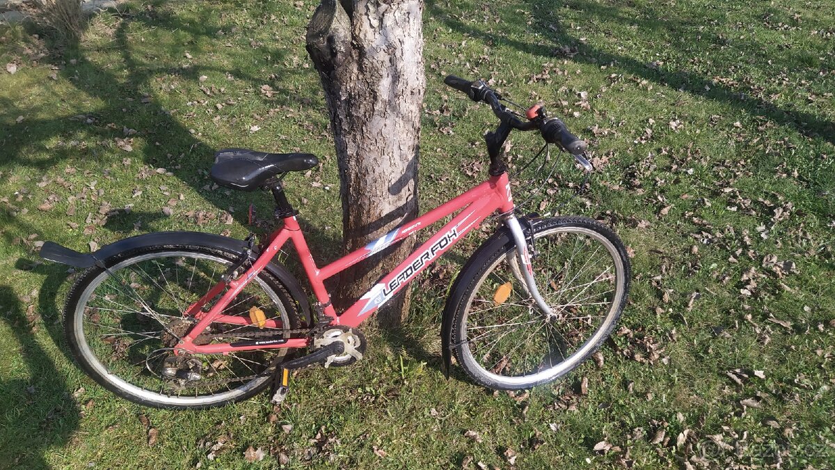 Dětské kolo Leader Fox