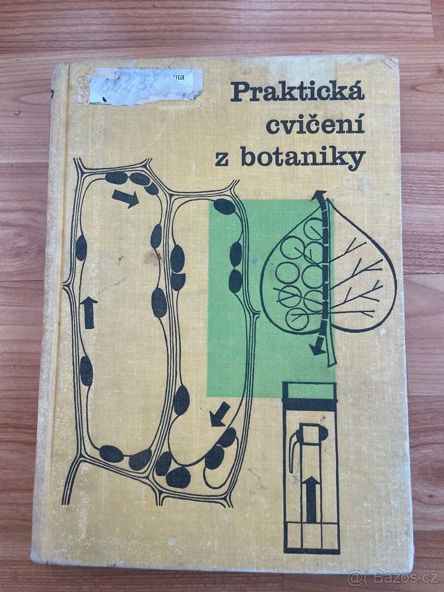 Praktická cvičení z botaniky pro pedagogické fakulty